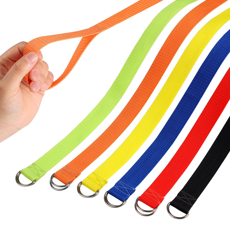 6 Packs Dog Cat Slip leashes Rope, Fresheracc 6 FT Strong Kennel Leads Collars Harness with Double D Ring for Pet Animal Control Grooming Shelter Rescues Vet Pet Training (6 Packs) 6 Packs - PawsPlanet Australia