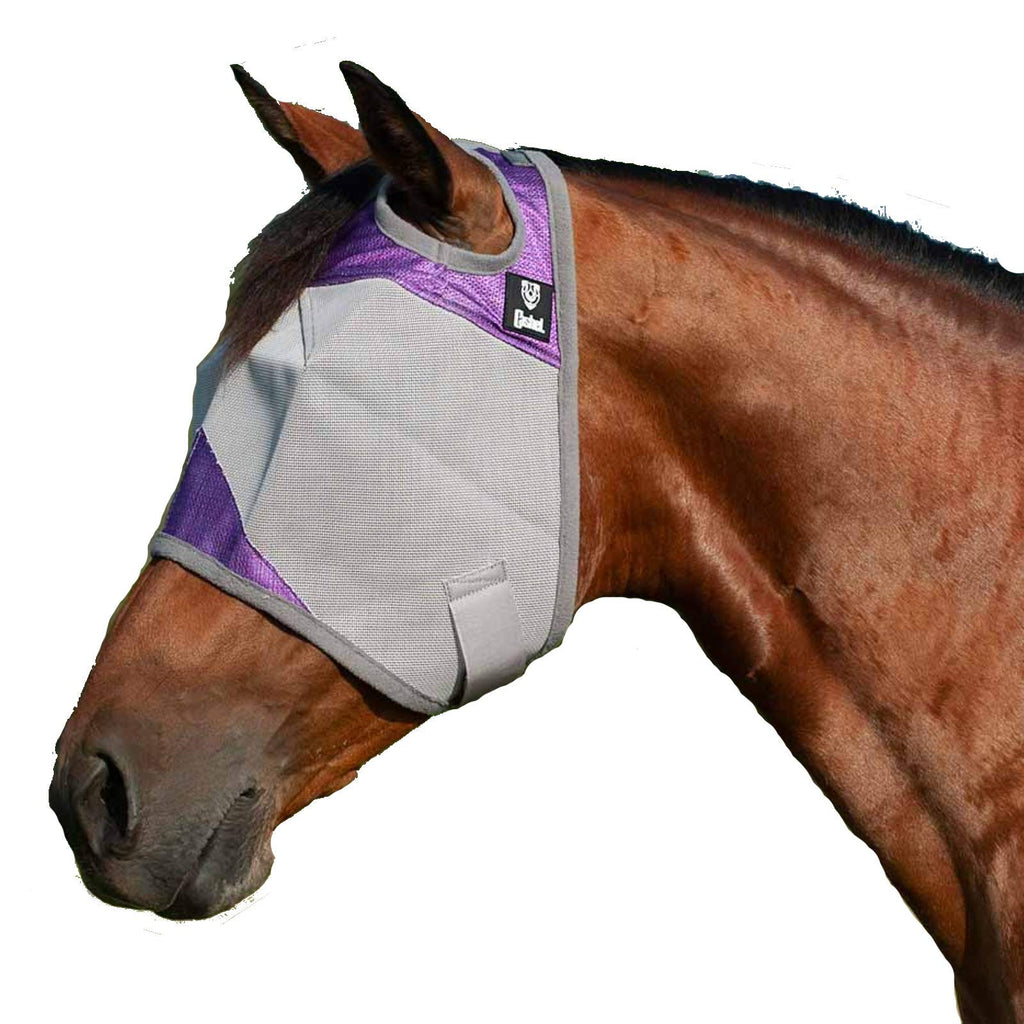 Equibrand Patterned Horse Crusader Fly Mask Orchid - PawsPlanet Australia