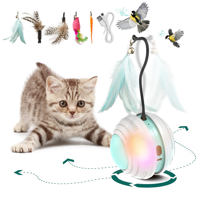 MORSIRPET Interactive Cat Toys for Indoor Cats with Bird Sound & Colorful Light, USB Charging, Automatic 360° Rolling Cat Toy Ball, 5 Feathers & Bell, Kitty Toys for Cats to Keep Them Busy - PawsPlanet Australia