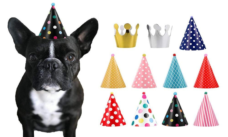 CBM Dog Party Hat Set - Dog Birthday Party - Hats and Crowns Party Time - 11pcs - PawsPlanet Australia