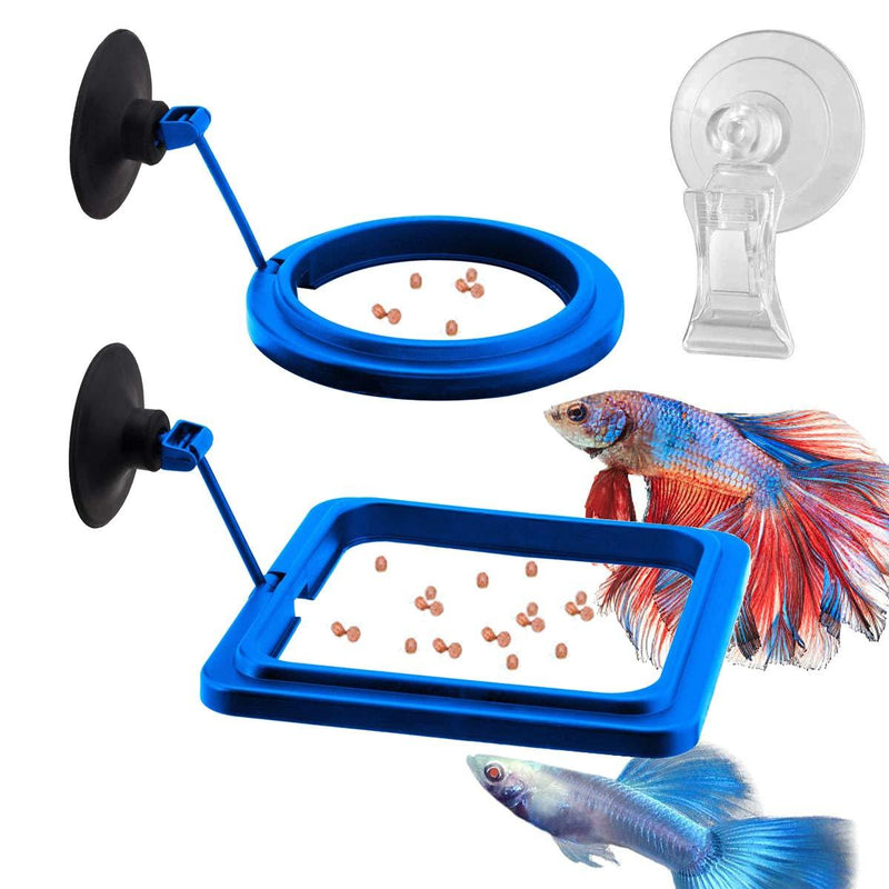 Fish Feeding Ring, Fish Safe Floating Food Feeder Circle for or Goldfish, Betta, Guppy with Suction Cup, Aquarium Feeding Ring Square and Round, Set of 3 - PawsPlanet Australia