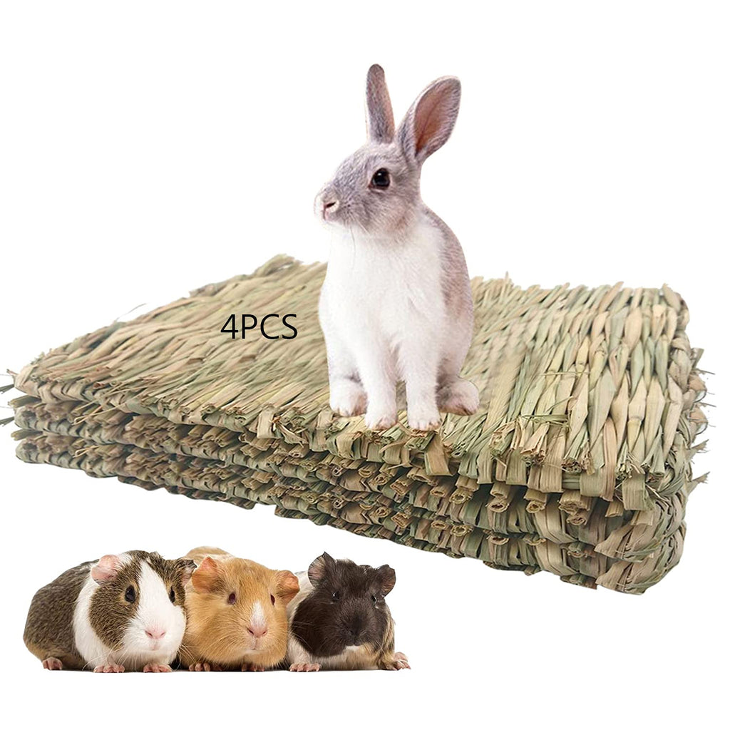 AQSXO Natural Straw Grass Mat Woven Bed, Rabbit Bunny Mat, for Hamsters Parrot Rabbits and Other Small Animals 4 Pcs. - PawsPlanet Australia