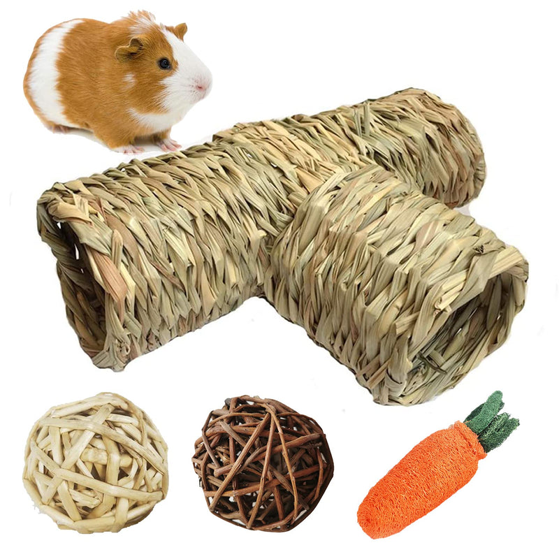 PINVNBY 4pcs Nature Hideaway Grass Tunnel Toy with Chew Ball Toys,Straw Tunnel House with Multiple Entrances,Guinea Pig Tunnels Toys for Guinea Pig,Chinchilla,Hedgehog,Ferrets,Bunny and Budgies - PawsPlanet Australia