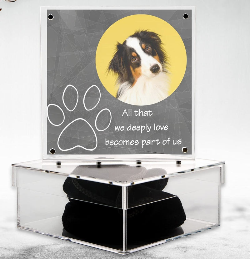 Sleeky Lime Dog Memorial Picture Frame with Memory Box – Clear Acrylic Pet Memorial Keepsake Boxes – Thoughtful Engraved Message – Ideal as Ash Urn, Memorial Box, Dog Owner Present - PawsPlanet Australia