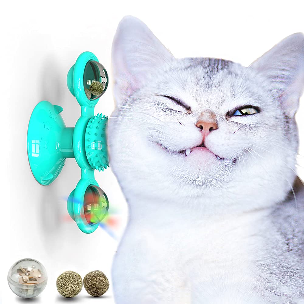 Puspoch Pet Cat Toys Interactive Cat Toys for Indoor Cats with Cat Nips Toy Ball, Cat Wheel Toy, Cat Wheel Exerciser Toys with Catnip Toys, Kitten Toys, Cat Exercise Wheel, Cat Treat Toy - PawsPlanet Australia