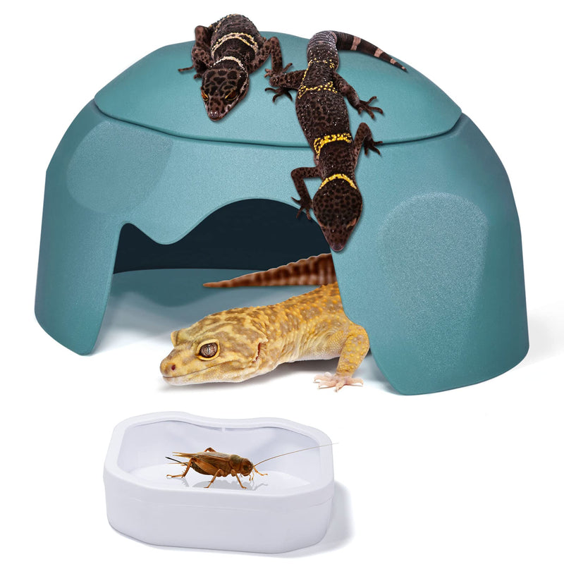 Fischuel Reptile Hides Humidification Cave Help Your Pets Shedding, A Damp Hideout with Natural Rock designto, Suitable for Bearded Dragons Lizards Leopard Gecko Spiders Turtles and Snakes Blue - PawsPlanet Australia