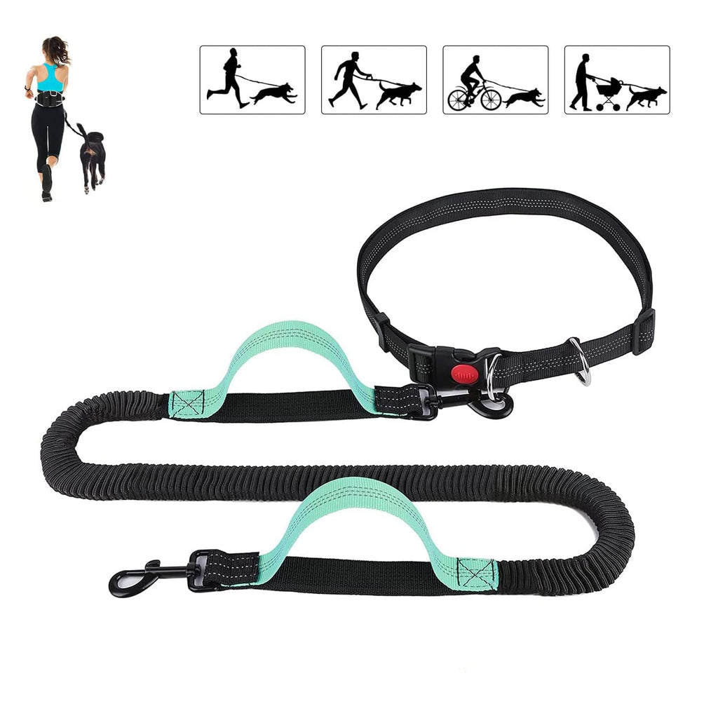 BIGLUFU Hands Free Dog Leash for Medium to Large Dogs, Running Walking Training Hiking, with Dual-Handle Reflective Bungee, Adjustable Waist Belt Dog Running Leash (Black Green) - PawsPlanet Australia