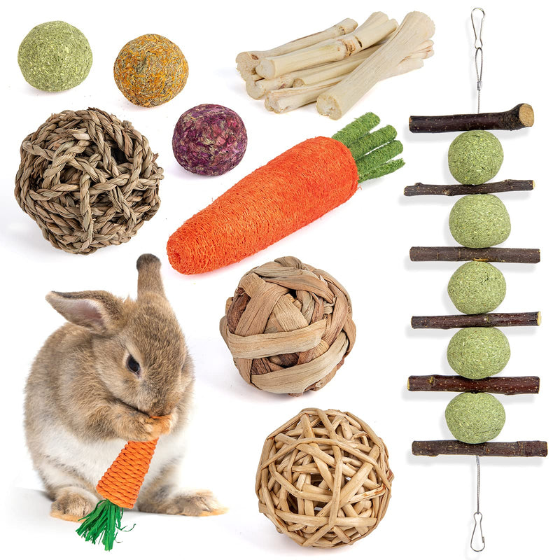 Sofier Rabbit Chew Toys 10 Pack Natural Bunny Toys Handmade Rabbit Treats Small Animal Toys Molar Care Apple Sticks Timothy Balls Sweet Bamboos Carrots for Hamster Chinchilla Guinea Pig - PawsPlanet Australia