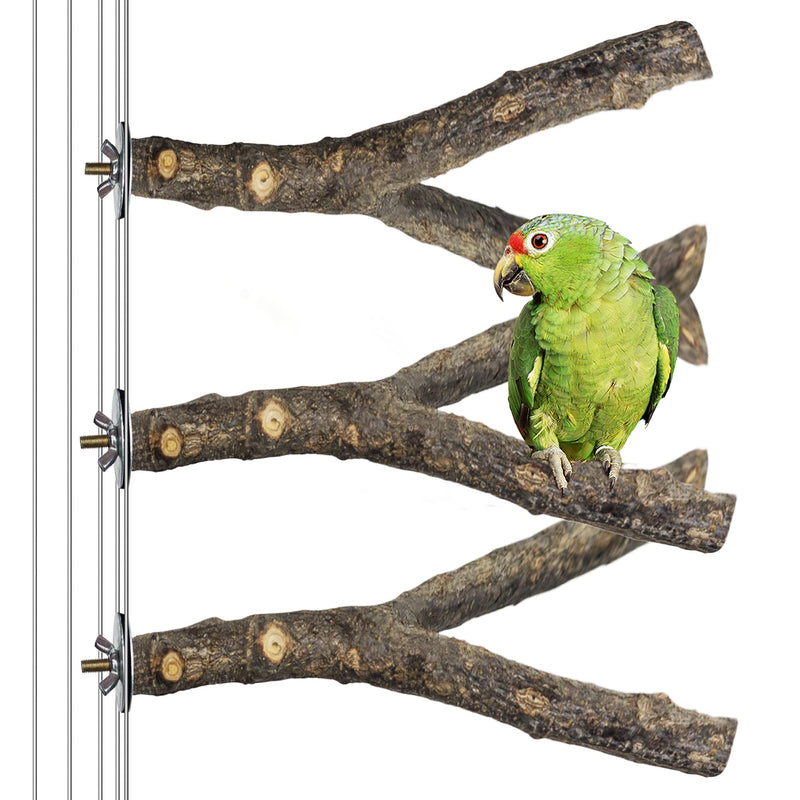 BIKOM 3 Pack Bird Perch Natural Wood Fork Stand Perch,Pet Bird Cage Hammock Swing Bird Toy,Wooden Hanging Perch with Stainless Steel Washers (0.6-1inch) - PawsPlanet Australia