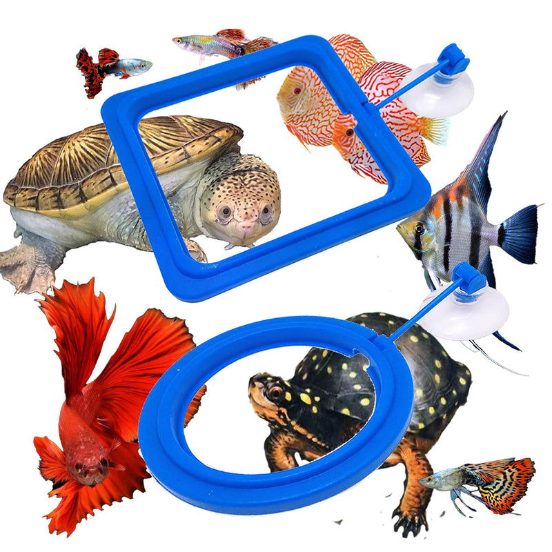 Zvaiuk Fish Feeding Ring, ABS Material Floating Food Feeder, Aquarium Fish Tank Fish Food Feeder Circle， for Guppy, bettas，Goldfish and Turtle (Square and Round) (Ordinary) Ordinary - PawsPlanet Australia