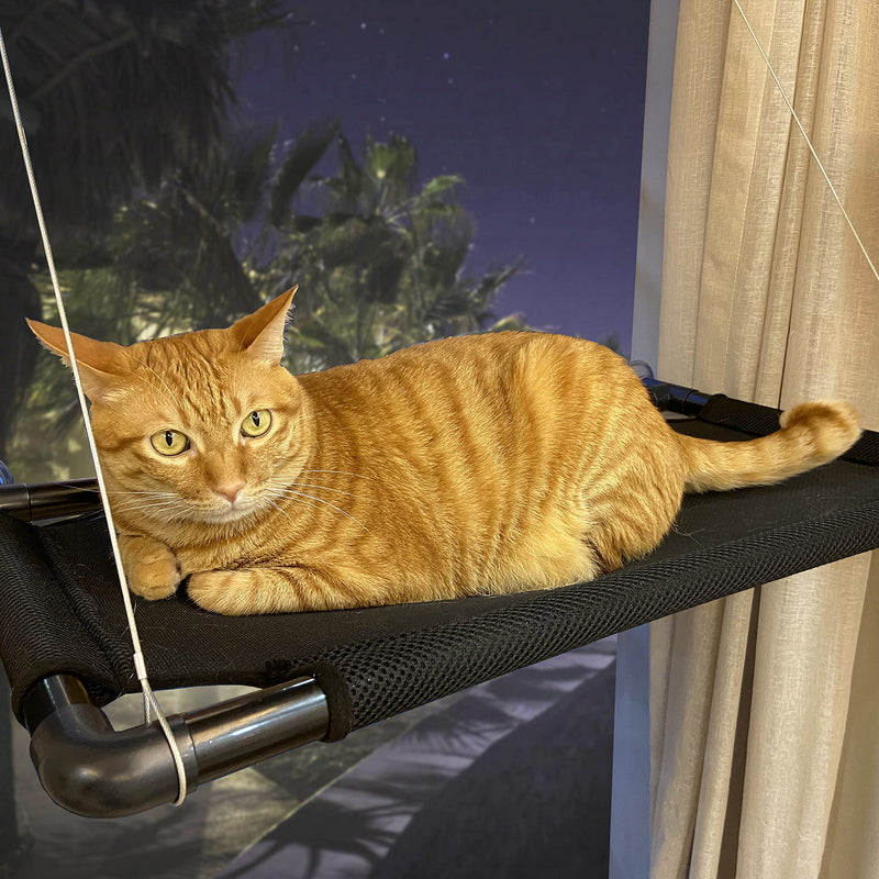 dysano Cat Window Perch, Cat Window Hammock with Latest Powerful Suction Cups Space Saving Cat Hammock Bed for Large Cat,Free Fleece Blanket Included - PawsPlanet Australia