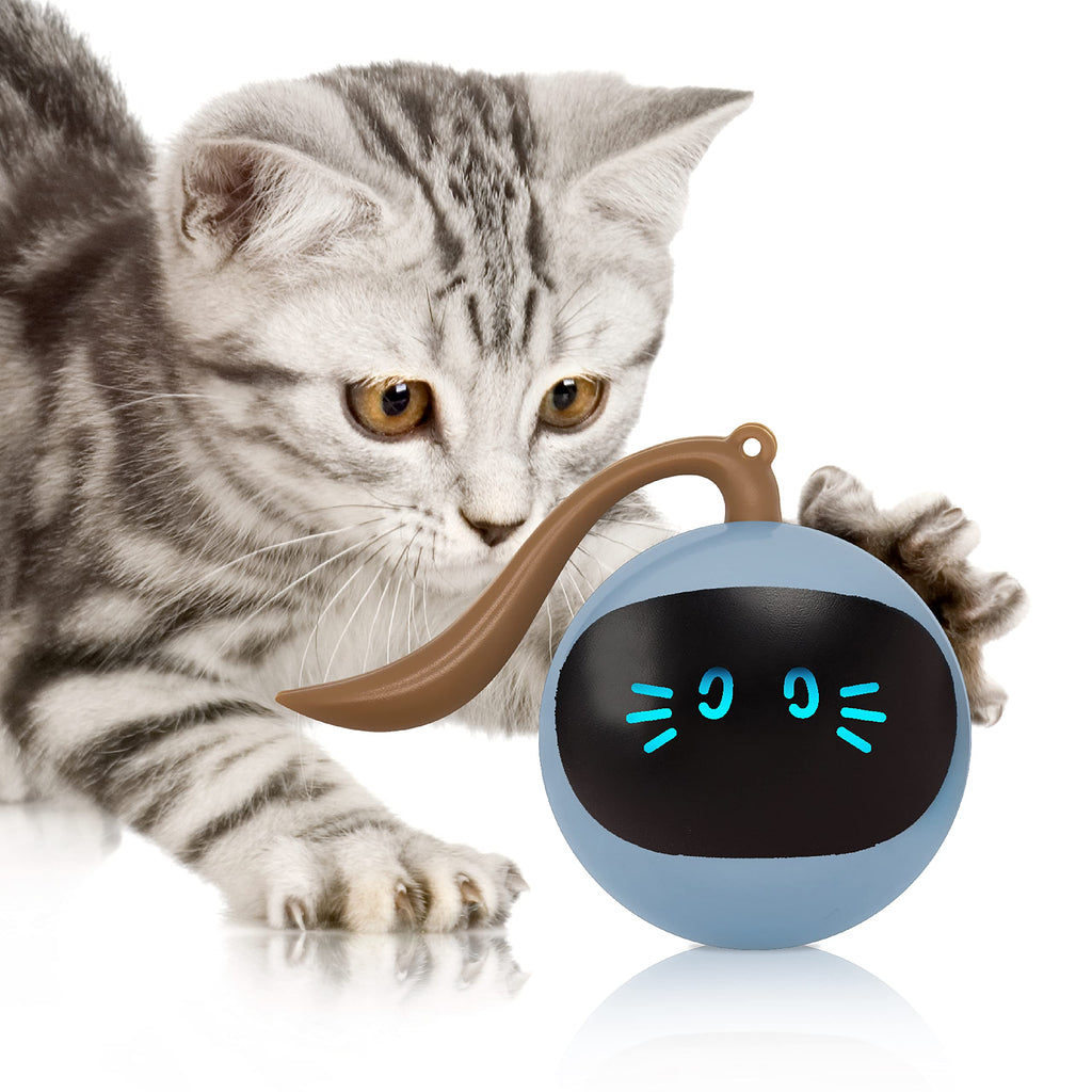 FOFOS Cat Toys 360°Self Rolling Ball Toy Interactive Toys Cat Wand Teaser Toys USB Charging Hunting Exercise Toys Indoor Gifts for Kitten/Puppy/Small Dogs Blue - PawsPlanet Australia