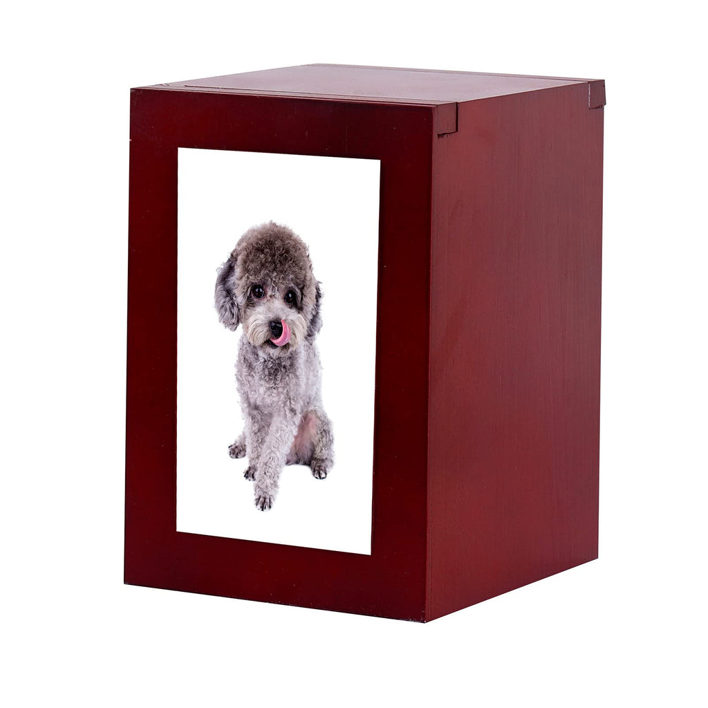Pet Urns Peaceful Pet Memorial Keepsake Urn Wood Cremation Urns Cat Urn Pet Urns for Dogs Ashes Pet Memorial Gifts Box with Acrylic Glass Photo Protector - PawsPlanet Australia