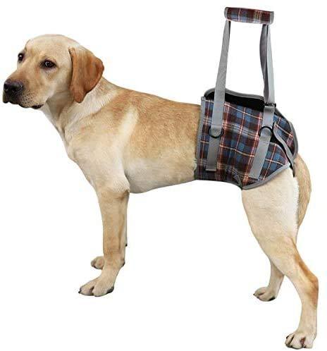 Dog Lift Harness with Handle for Back Legs, Portable Pet Support Rehabilitation Sling Lift Vest Adjustable Straps Support for Old, Disabled, Joint Injuries, Arthritis, Paralysis Walk (Blue S) Back Leg S - PawsPlanet Australia