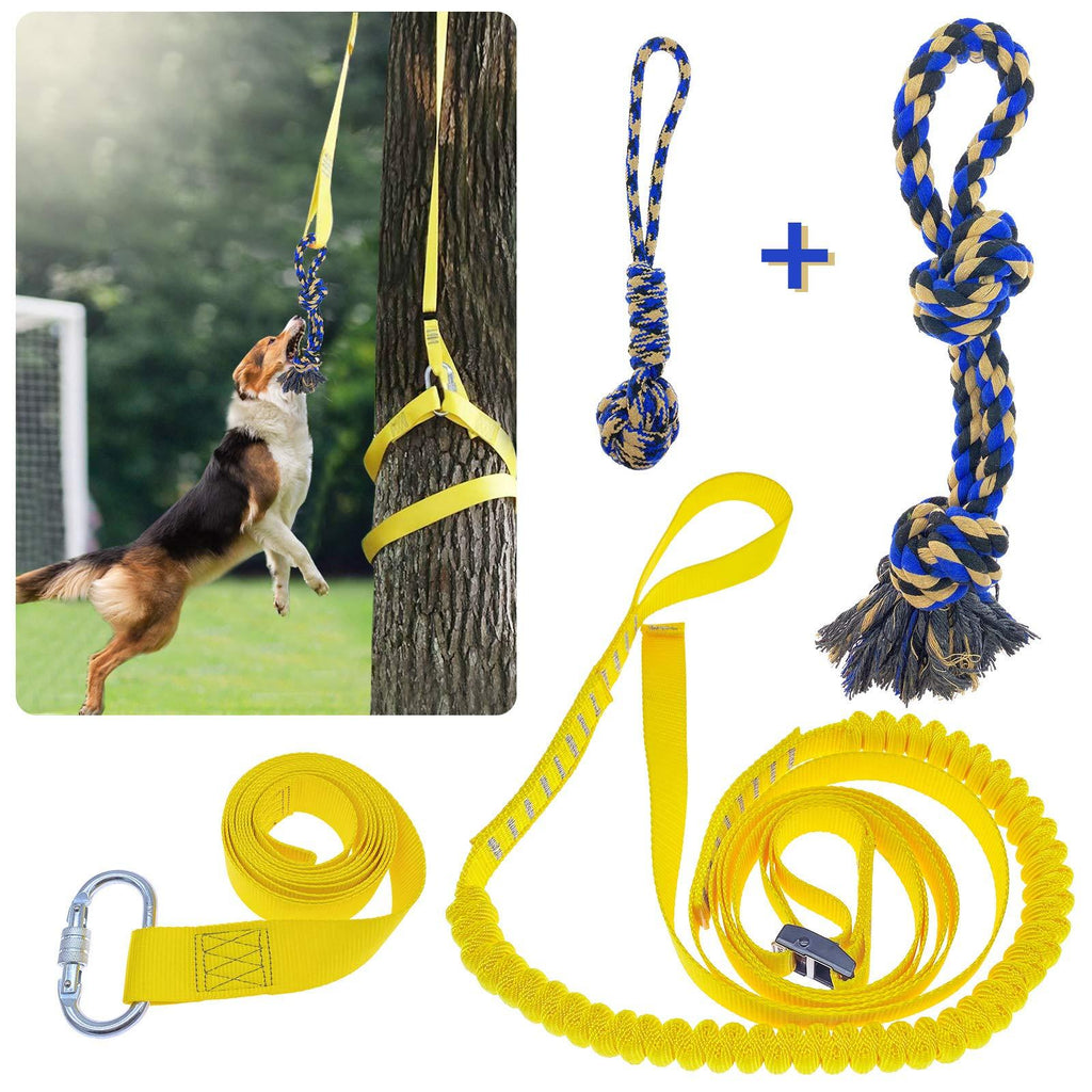 Dog Hanging Bungee Tug Toy: Interactive Tether Tug-of-War for Pitbull & Small to Large Dogs to Exercise and Fun Solo Play - Durable Retractable Tugger Dog Rope Toy with 2 Chew Rope Toys - PawsPlanet Australia