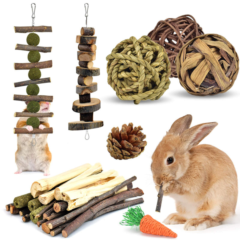 KATUMO Rabbit Chew Toys, Hamster Toys Natural Apple Wood Guinea Pigs Chewing Toys Bunny Ball Toys Teeth Care Toys for Rabbits Guinea Pigs Squirrel Gerbils Small Rodent Pets Chewing and Playing - PawsPlanet Australia