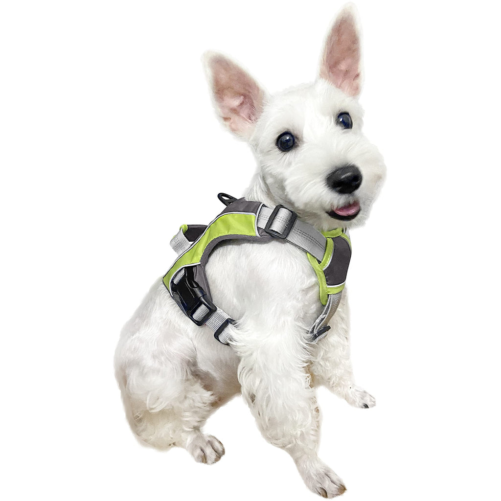 F-color Dog Harness No Pull, Walking Dog Harness for Large Dogs with Adjustable Reflective Nylon, Dog Vest Harness Green with Handle D-Rings Back Leash Attachments for Small Medium Large Dogs, Medium M(Neck:14.17"-16.93".Chest:18.9"-23.62") - PawsPlanet Australia