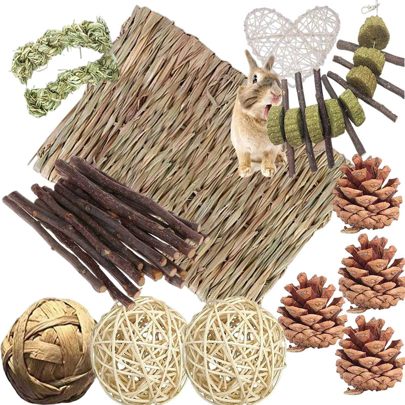 Bunny Grass Mat, Small Animal Chew Toys Natural Straw Woven Bed Mat Bed Play Toy for Bunny Guinea Pig Parrot Rabbit Hamster Rat 22Pieces - PawsPlanet Australia