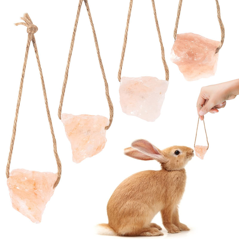 4 Pack Himalayan Small Pets Lick Salt Block on Rope- Natural Small Animal Mineral Salt Chew Toys with Hanging Rope Small Pet Chew Treat Supplies for Guinea Pig Hamster Chinchilla Rabbits Bunny Ferrets - PawsPlanet Australia