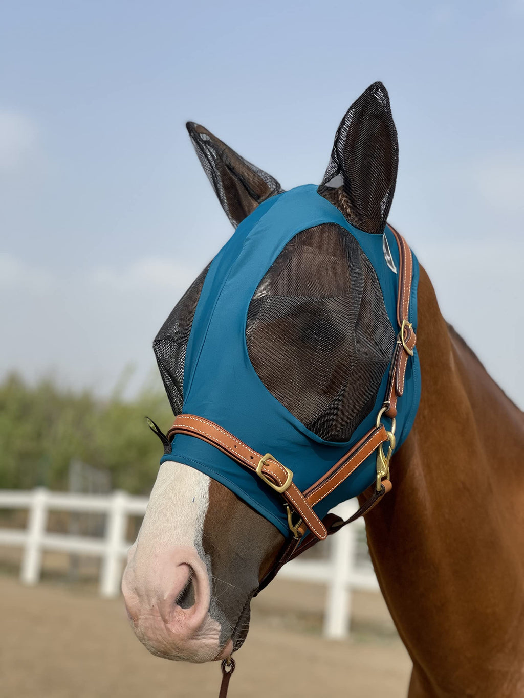 Horse Fly Mask Super Comfort Horse Fly Mask Elasticity Fly Mask with Ears We Only Make Products That Horses Like Medium Dark Green - PawsPlanet Australia