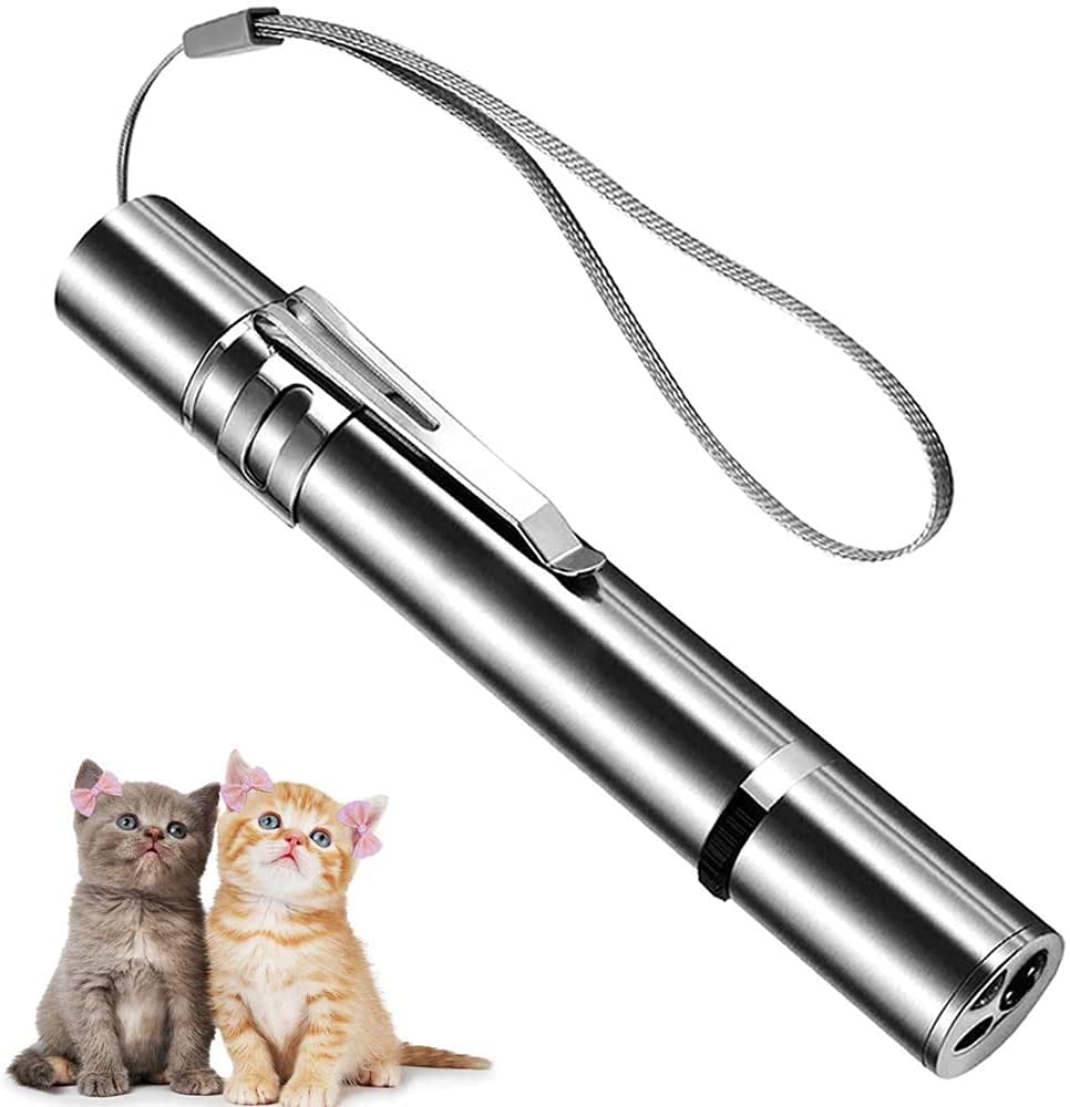 Laser Pointer for Cats Dogs, USB Recharge Remote Presenter Clicker for Indoor Classroom Interactive Teaching, Cat Toys for Indoor Cats - PawsPlanet Australia