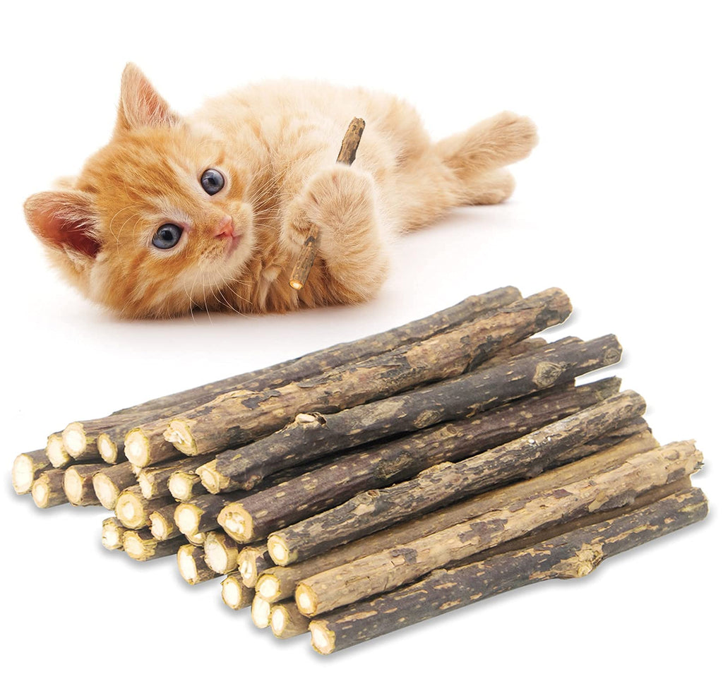 QUTOP 32 PCS Silvervine for Cats, Natural Cat Sticks, Catnip Sticks Make Cat Relax, Cat Chew Toy for Kitten Kitty Teeth Cleaning - PawsPlanet Australia