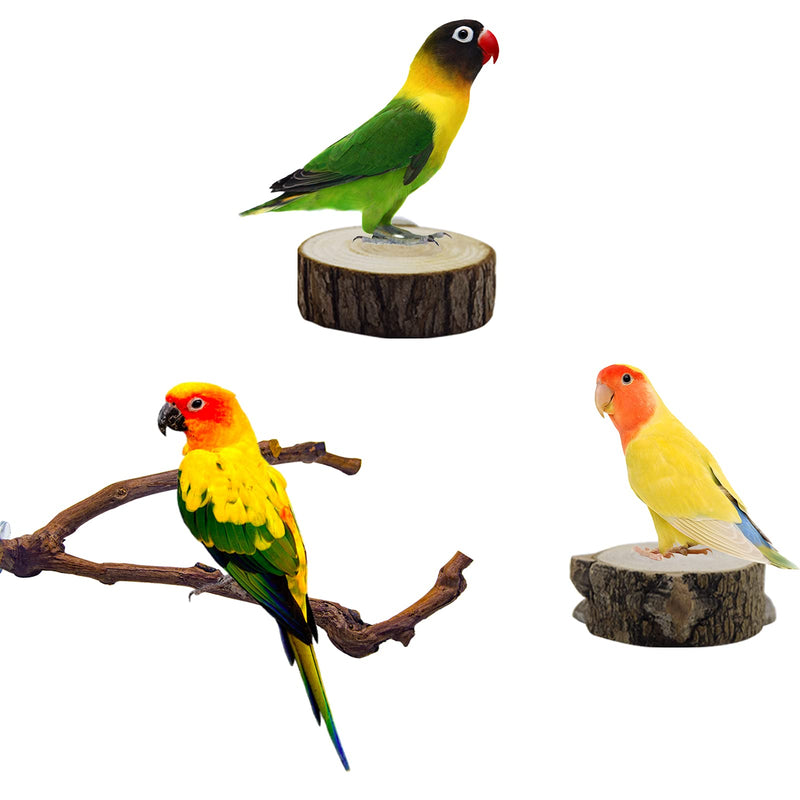 Deloky Bird Parrot Perch Platform-Natural Bird Perch Stand-2 PCS Wooden Playground Cage Accessories for Small Parakeets Budgies Cockatiels Conure Lovebirds - PawsPlanet Australia