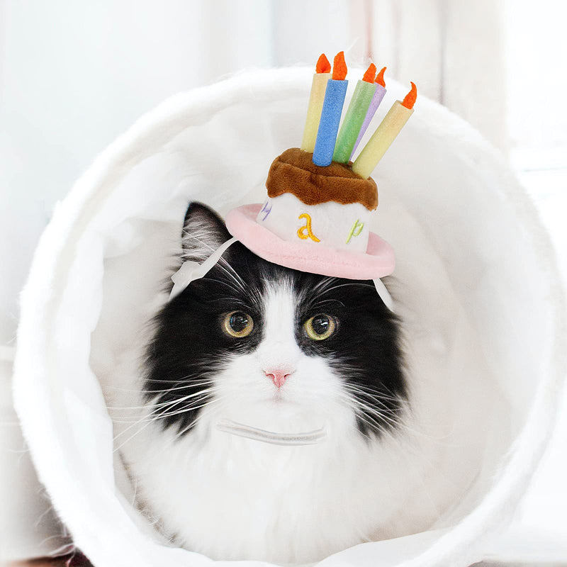 Namsan Cat Birthday Hat Small Dog Birthday Cake Hat Dog Birthday Party Supplies, Small - PawsPlanet Australia