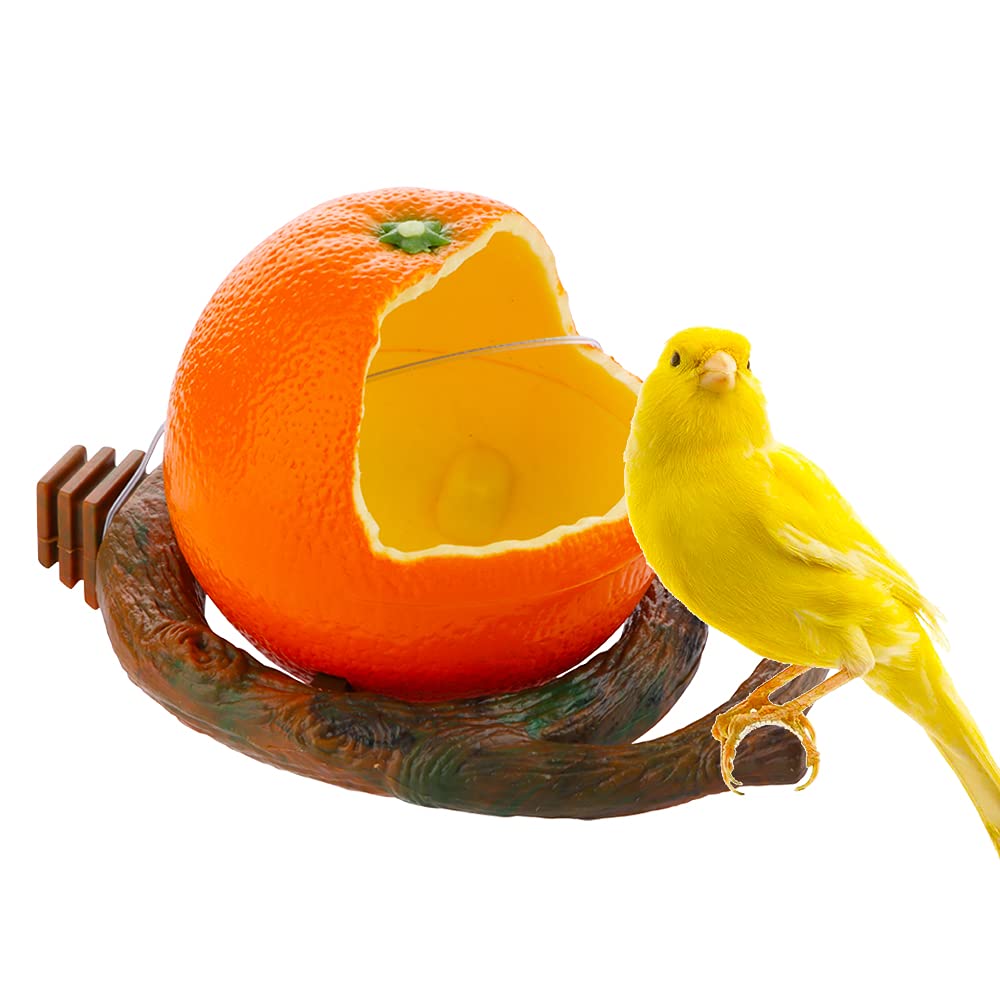 Bird Feeder Fruit Shape with Clamp Holder Cage-Pet Food & Water Bowl Parrot Food Box Cage Decoration (Orange Shape) - PawsPlanet Australia