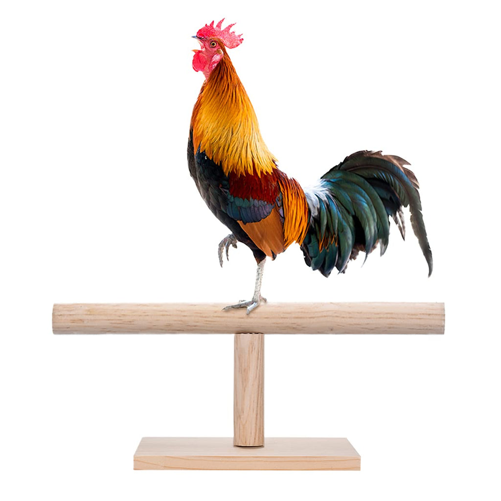 Chicken Wooden Traning Stand Perch Toys for Hens,Parrot Bird Asembled Play Table Top Cage Toys - PawsPlanet Australia