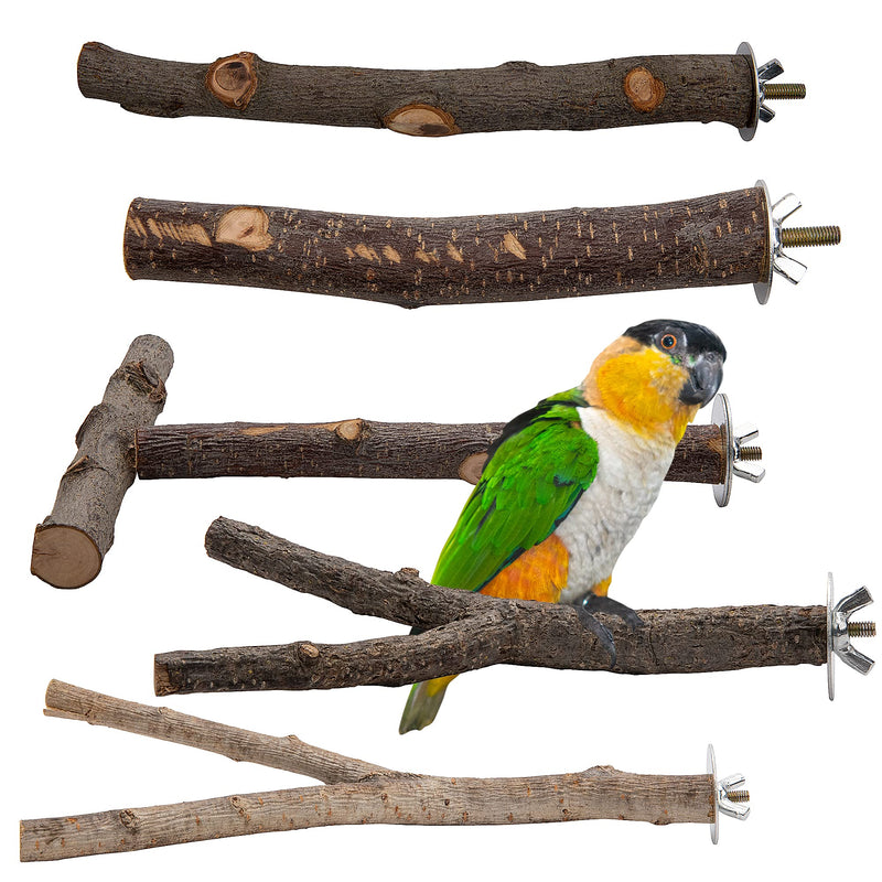 EBaokuup 5PCS Natural Wood Bird Perches for Parrot - Wooden Bird Parrot Stand Branches Parakeet Cage Perch Accessories for Small Birds Budgies Cockatiels Conure Lovebirds - PawsPlanet Australia