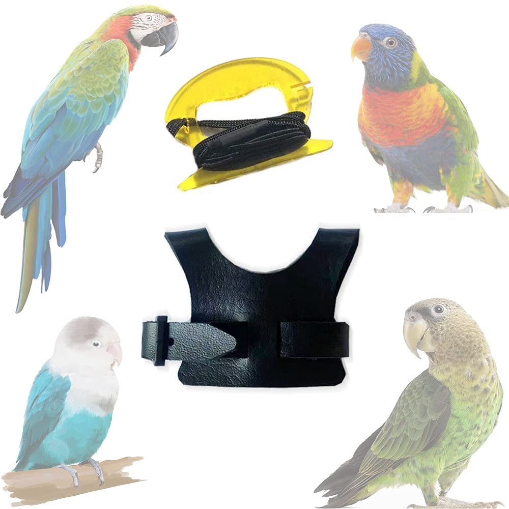 Bird Harness, Pet Bird Harness with 8 Ft Leash for Conures, Adjustable Bird Flying Harness Traction Rope for Parrot, Conures, Birds S - PawsPlanet Australia