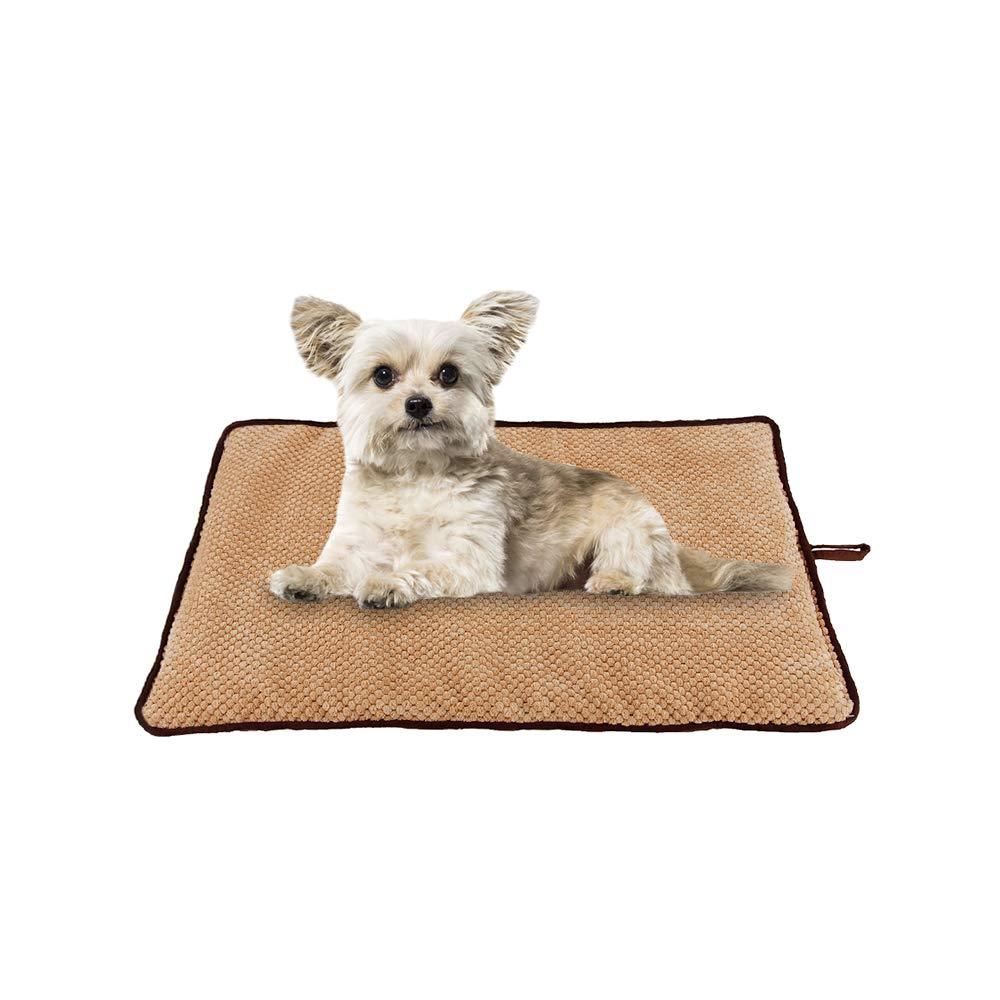 PAWISE Dog Mat for Dog Crate,Super Comfort Dog Crate Pad,Washable Dog Bed / Cat Bed,Dog Beds for Small/Medium/Large Dogs XS(21.6x15.7 inch) - PawsPlanet Australia