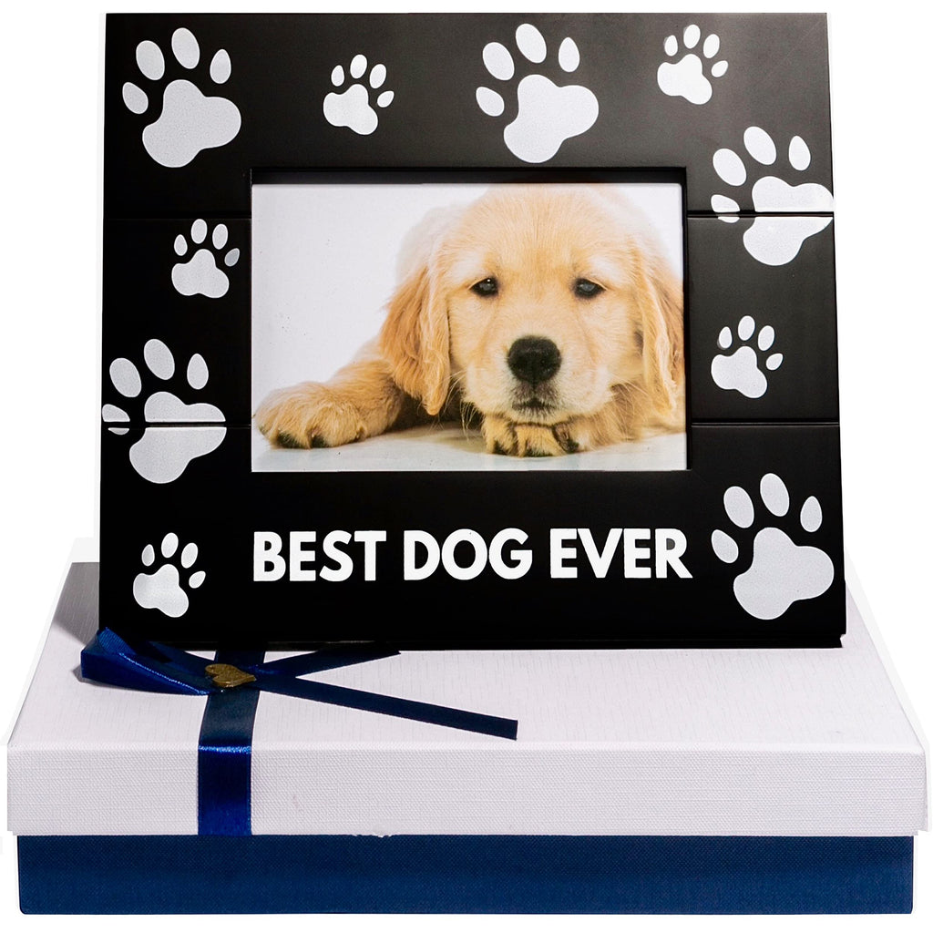 Pumba & Co. Dog Memorial Picture Frame with Sympathy Card - Beautiful Pet Sympathy Gifts for Dogs black - PawsPlanet Australia