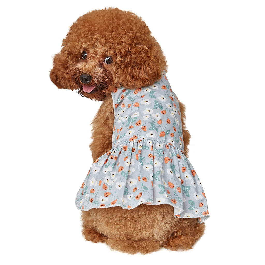 Dog Dress Puppy Cloth - Cute Pet Cloth 100% Cotton Breathable and Cooling Teacup Dog Clothes Adorable Pet Dress for Small Dogs and Cats (Blue, XX-Small) Blue - PawsPlanet Australia