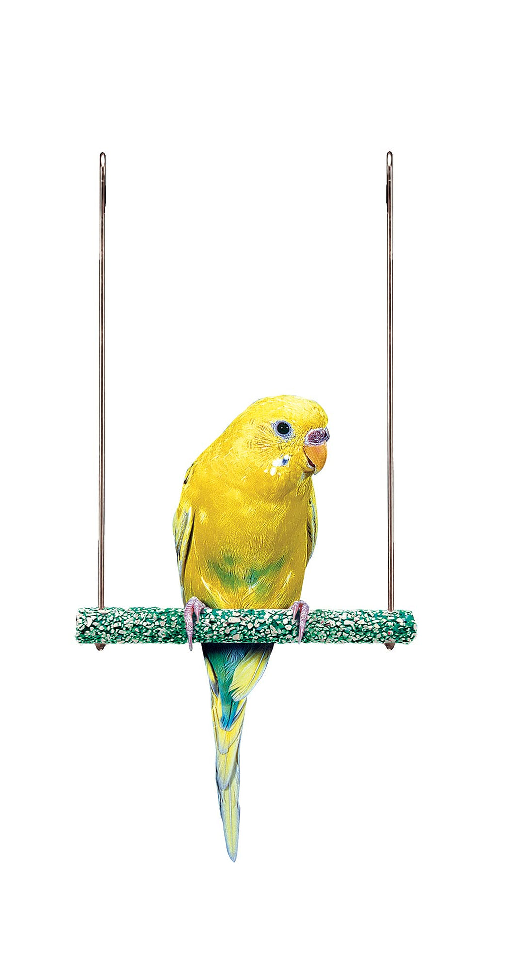 Penn-Plax Bird-Life Trimmer Plus Cement & Metal Swing – Naturally Trims Nails & Beak – Great for Parakeets, Cockatiels, Finches, and Other Small Birds – Small Size - PawsPlanet Australia