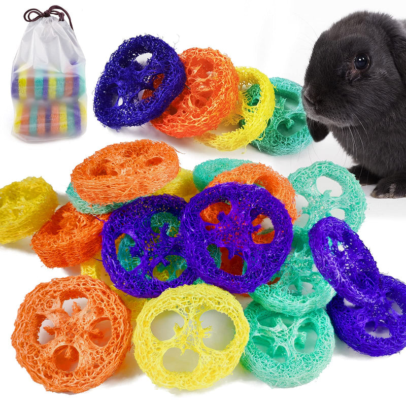 Epessa 20pcs Loofah Toys, Rabbit Chew Toys for Dental Health, Natural Handmade Material Small Animal Toys for Guinea Pig Hamster Rabbit Rat - PawsPlanet Australia