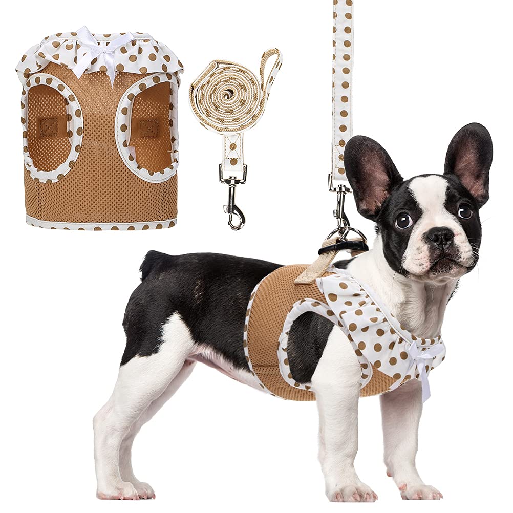 Puppy Harness and Leash Set for Small Dogs Cats - Soft Mesh Adjustable No Pull Dog Vest Harness with Cute Polka Dot and Bowknot S: Chest Girth: 12-14",Leash: 0.6*59" Beige - PawsPlanet Australia