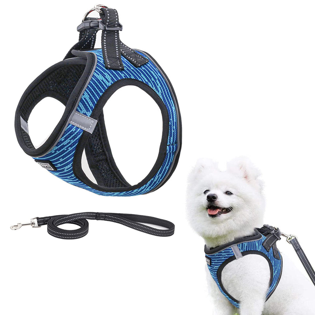 Mesh Dog Harness and Leash,Reflective and Breathable Pet Harness,Adjustable Soft Padded Vest Harness for Puppy Small Dogs & Cats XS (Chest: 11.4 - 12.2") Blue - PawsPlanet Australia