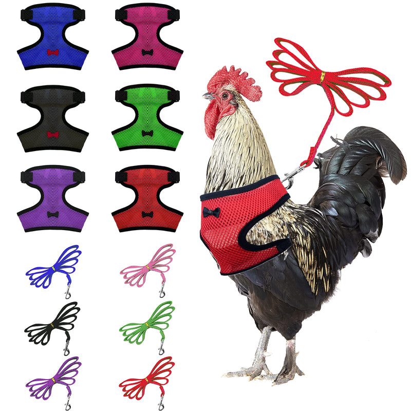 EBaokuup 6 Pieces Adjustable Chicken Harness with Leash, Breathable Hen Pet Vest with 3.5FT Matching Belt, Chicken Training Harness, Chicken Leash for Hens, Duck, Puppy, Goose and Small Pets (S) - PawsPlanet Australia