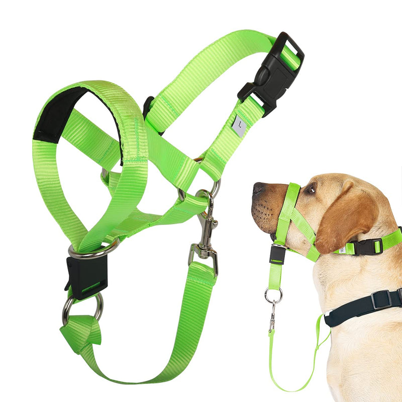 Barkless Dog Head Collar, No Pull Head Halter for Dogs, Adjustable, Padded Headcollar with Training Guide - Stops Pulling and Choking on Walks M (Snout: 7.1"-8.7") Fluorescent Green - PawsPlanet Australia