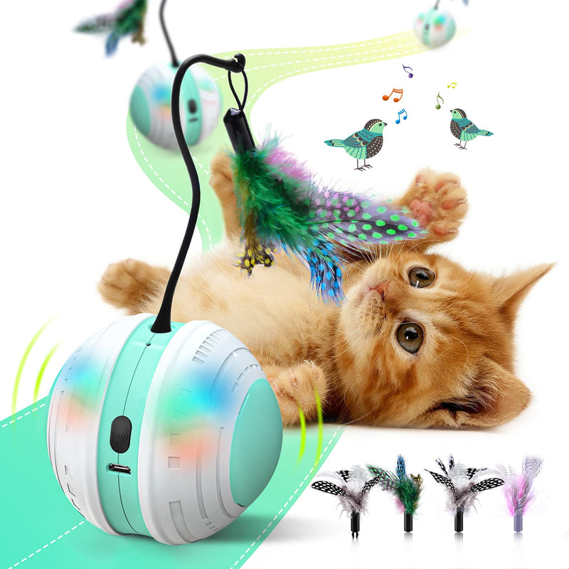 Interactive Cat Toy, Beedove Cat Toys with Bird Sound LED Light 360° Self Rotating Cat Ball USB Charging Smart Automatic Robotic Cat Toy with 4 Replacement Feathers Pet Toys for Indoor Cats Kitten - PawsPlanet Australia