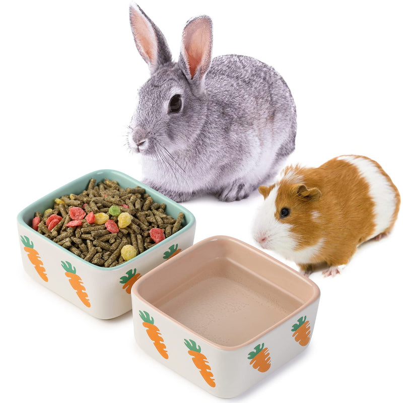 JanYoo Rabbit Food Bowl Guinea Pig Feeder Ceramic for Cage with Water Bowls Supplies and Accessories for Bunny A-Blue+Pink - PawsPlanet Australia