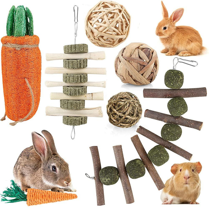 iBoBoy Rabbit Chew Toys Bunny Toys Guinea Pigs Chew Treat Play Balls Rolling Molar Toys Cage Entertainment Accessories for Hamsters Rat Chinchilla Gerbils with Loofa Carrot Toy - PawsPlanet Australia