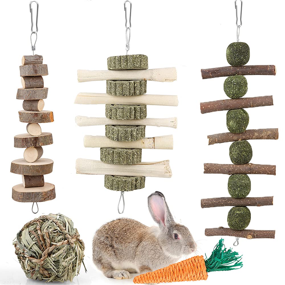 iBoBoy Rabbit Chew Toys Bunny Toys Guinea Pigs Chew Treat Play Balls Rolling Molar Toys Cage Entertainment Accessories for Hamsters Rat Chinchilla Gerbils with 3 Molar String - PawsPlanet Australia