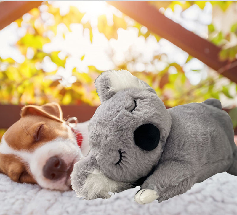 PULEIDI Puppy Heartbeat Toy - Heartbeat Dog Toy for Puppy Dog Cat Behavioral Training Aid Toy Puppy Heartbeat Stuffed Animal with Automatic Heartbeat Simulator for Sleep Aid Separation Anxiety Koala toy - PawsPlanet Australia