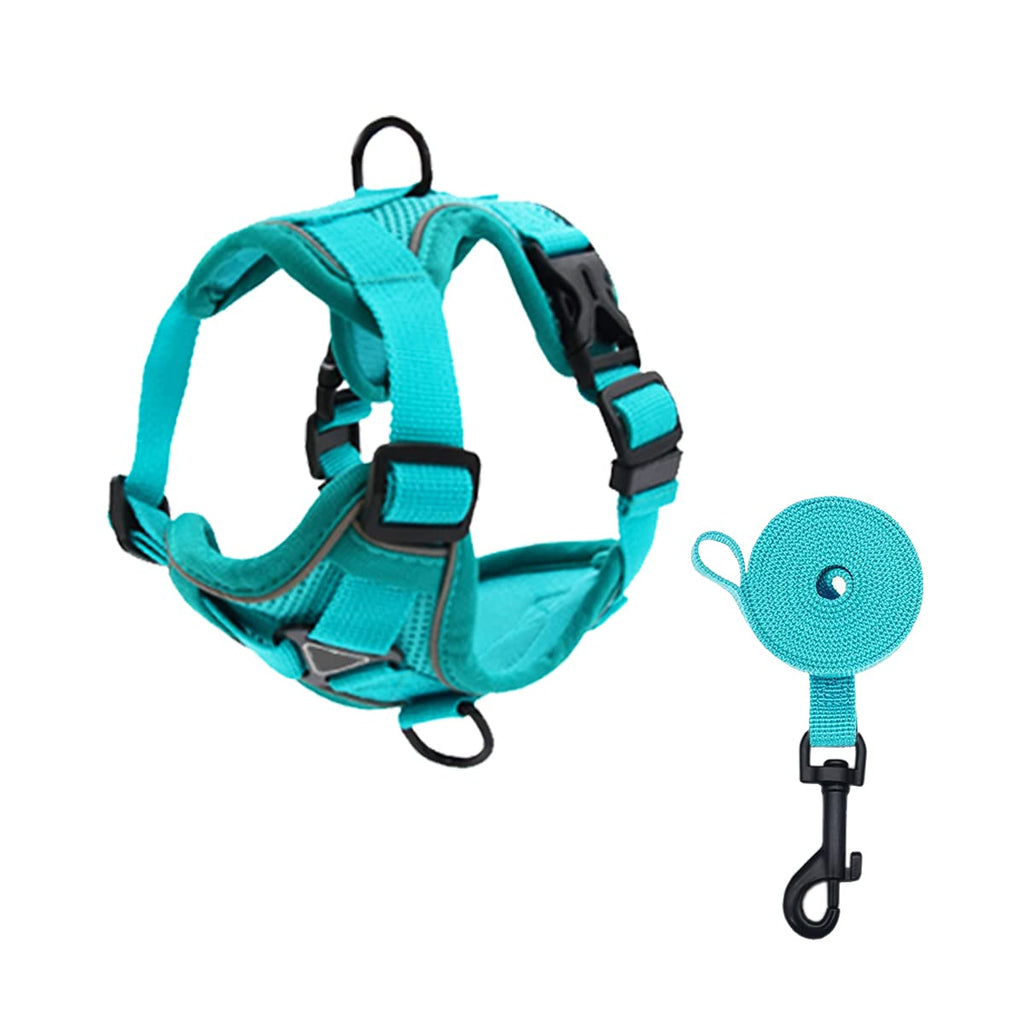 IDOLPET No Pull Dog Harness and Leash Set with Front and Back 2 Leash Clips and 4 Adjustable Buckles Reflective Walking Escape Proof Comfortable Vest for Small Medium and Large Dogs Cats Green - PawsPlanet Australia