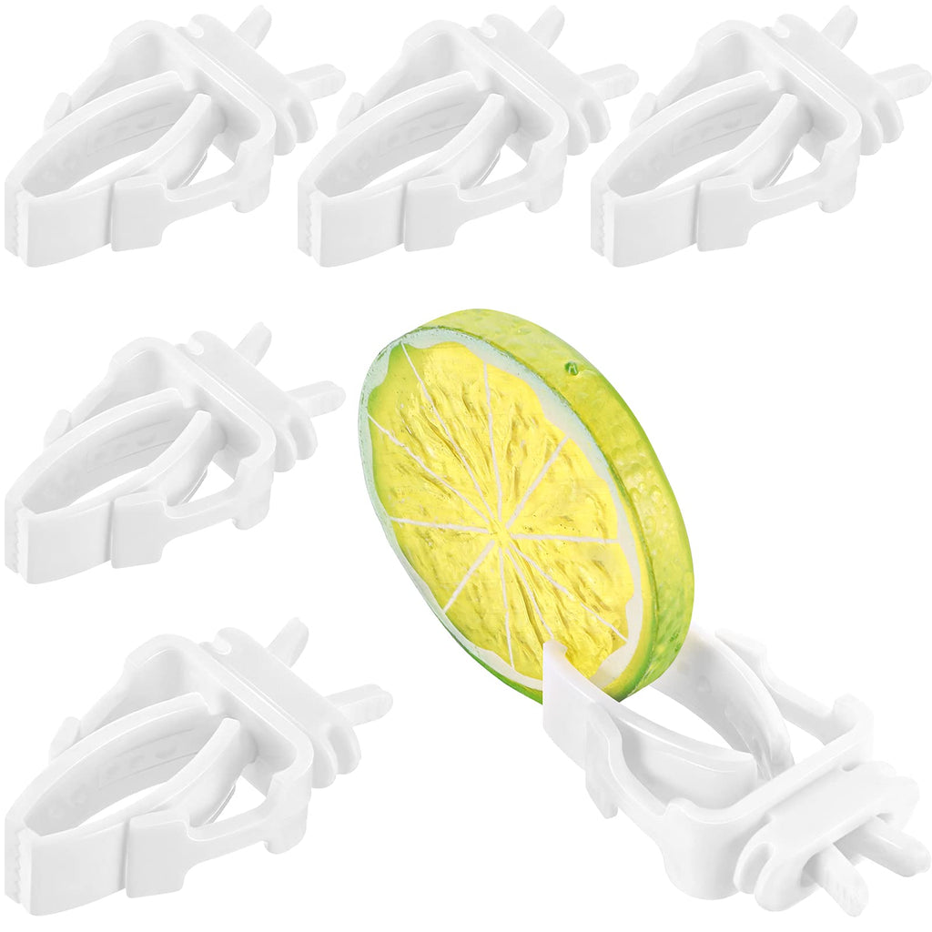 6 Pieces Bird Cage Food Holder Parrot Fruit Vegetable Clips Bird Cage Feeder Clip for Budgie Parakeet Cockatoo Macaw Cockatiel Conure - PawsPlanet Australia