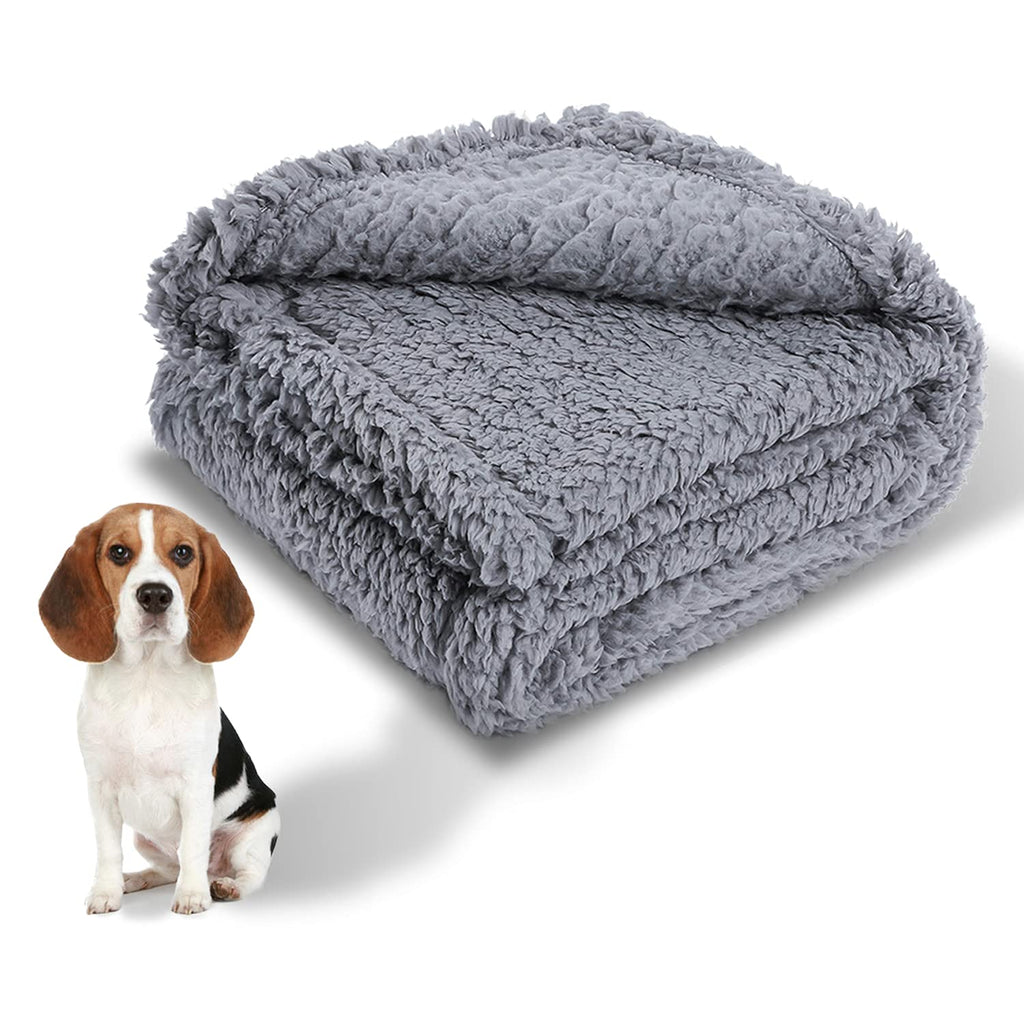 Cozy Fleece Dog Blanket Medium Fuzzy Soft Washable Puppy Blankets Sherpa Couch Pet Cat Throw Anxiety Weighted Bed Pad Cover Gray Gray01 M (31"x39") - PawsPlanet Australia