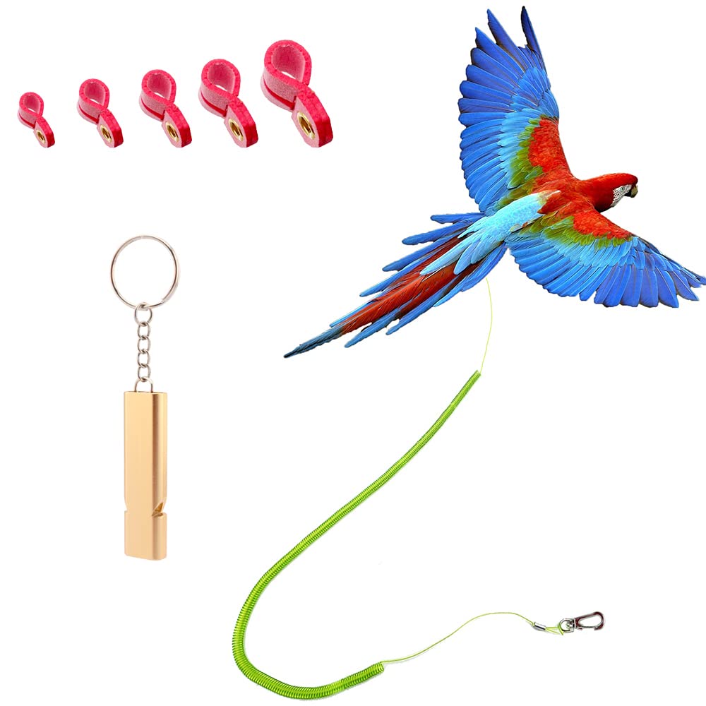 Parrot Bird Harness Leash Anti-bite Outdoor Flying Training Rope with 5pcs Different Sizes of Soft Foot Loops and Training Whistle(Upgraded Version of Ankle Ring) - PawsPlanet Australia